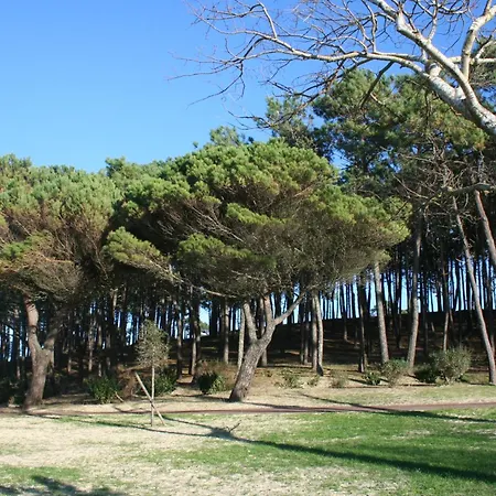 Appartement Centre Ville Arcachon *