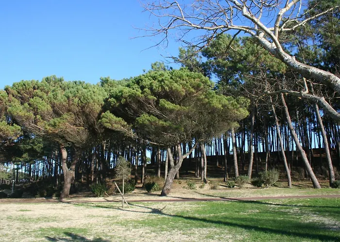 Appartement Centre Ville Arcachon *